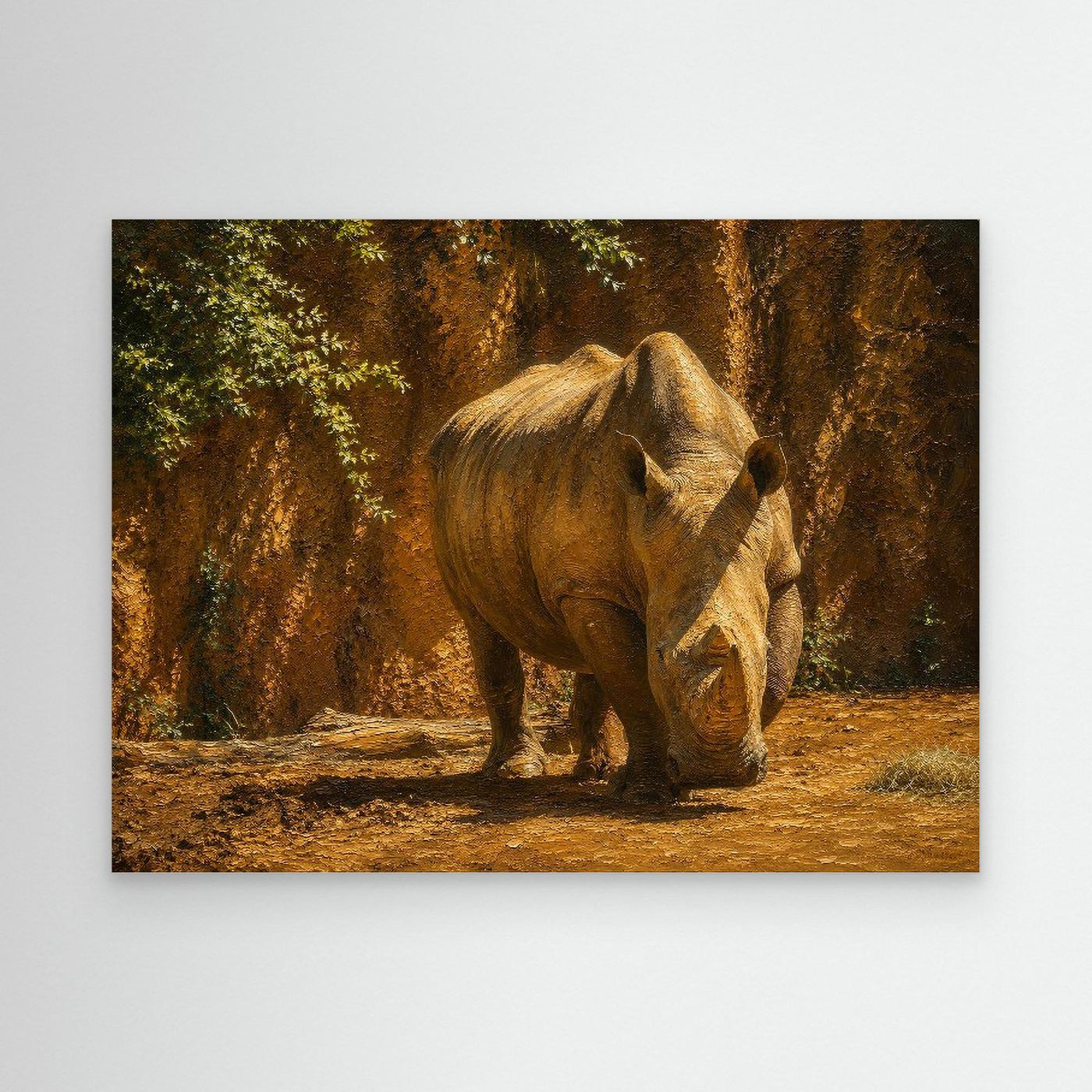 Wildlife | Rhino - 002