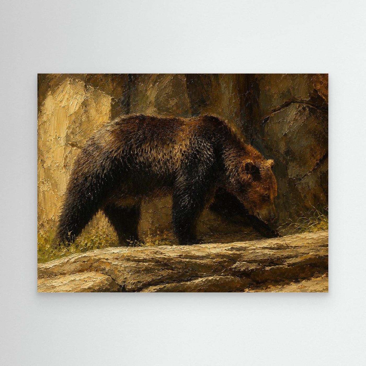 Wildlife | Grizzly Bear