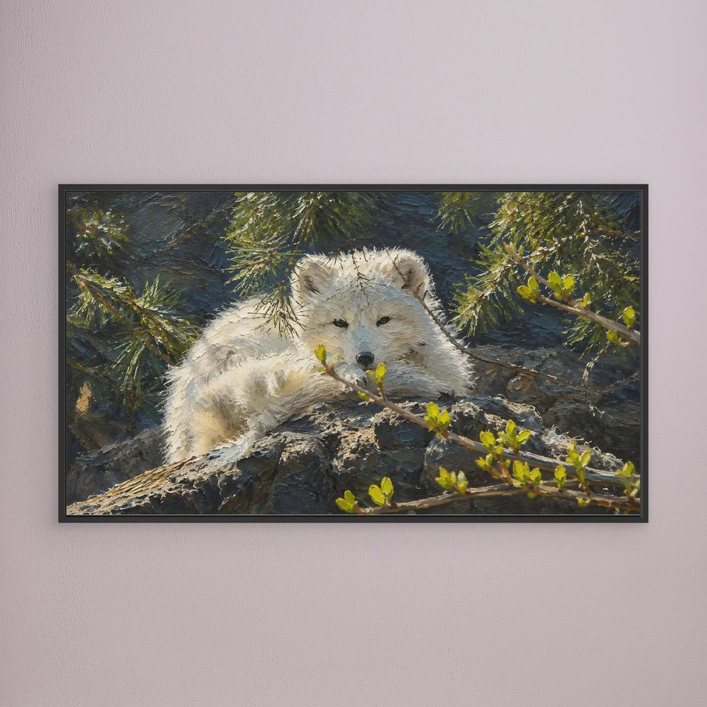 Wildlife | Arctic Fox - 002