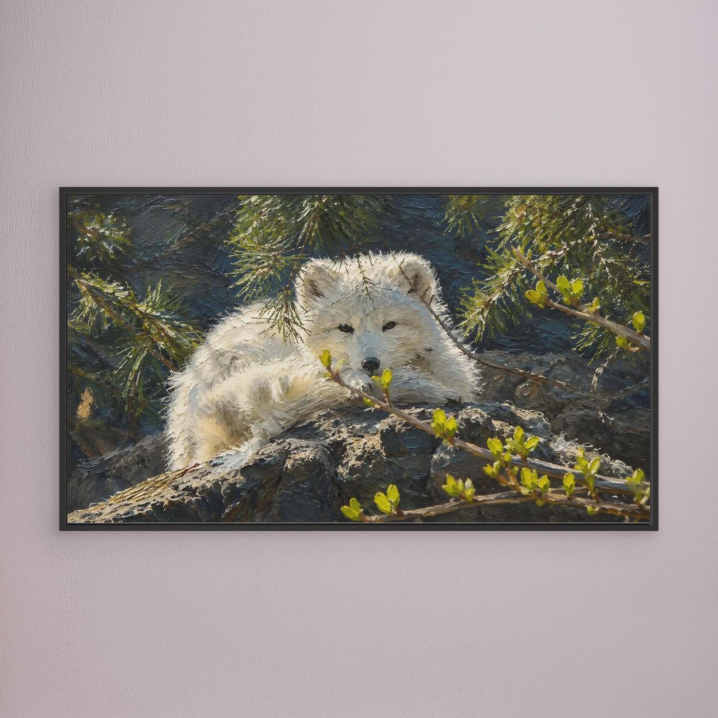 Wildlife | Arctic Fox - 002