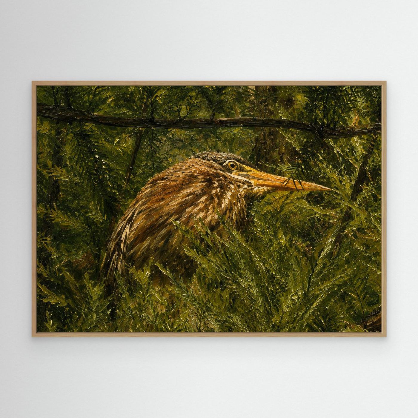 Wildlife | American Bittern