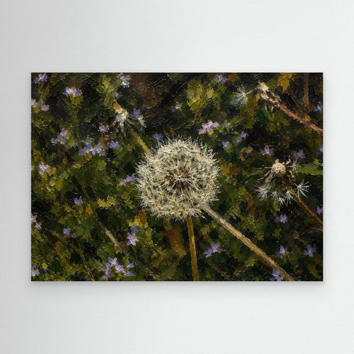 Plant | Dandelion Seed Head