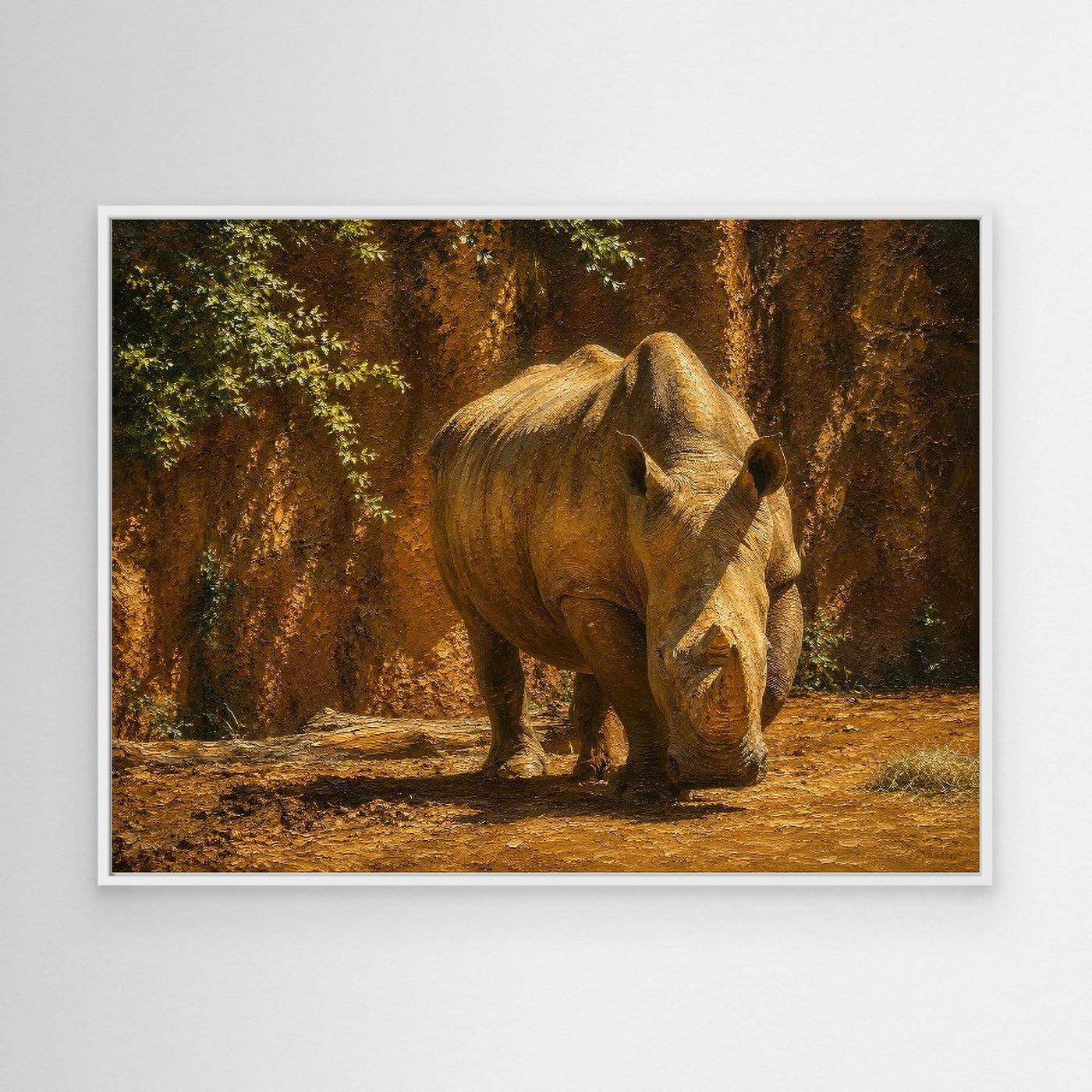 Wildlife | Rhino - 002