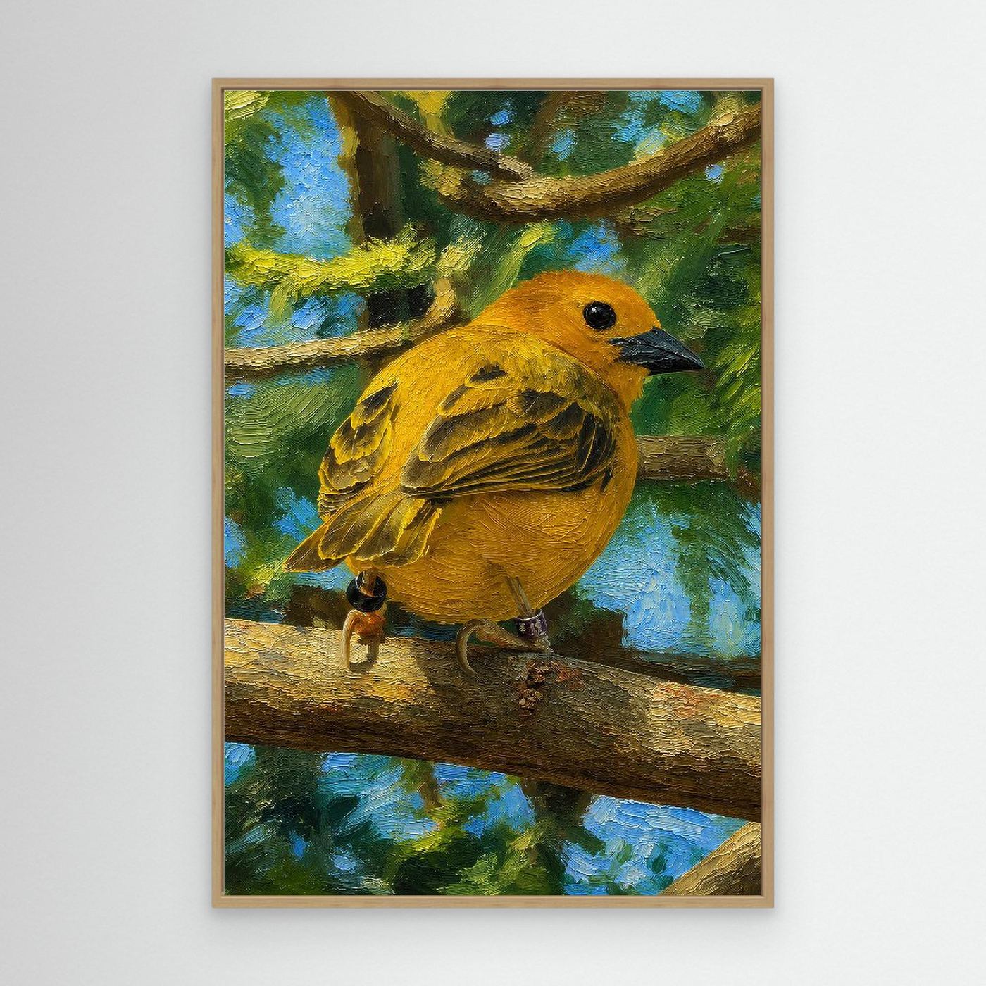 Wildlife | Taveta Golden Weaver