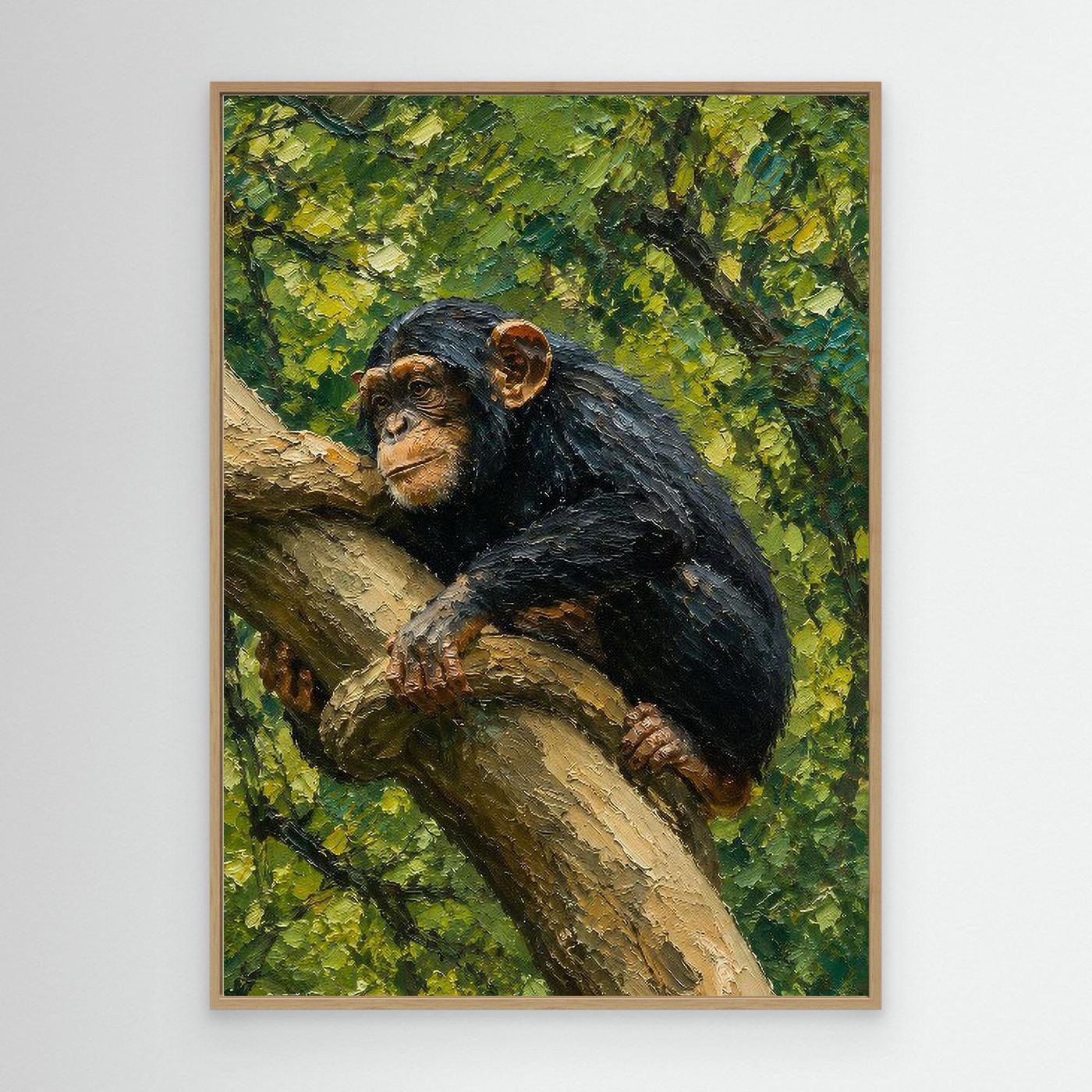 Wildlife | Chimpanzee - 002