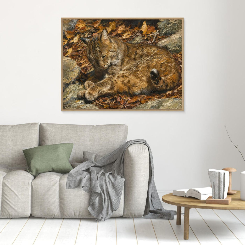 Wildlife | Bobcat