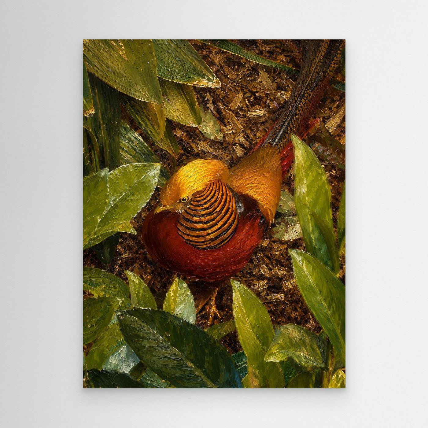Wildlife | Golden Pheasant