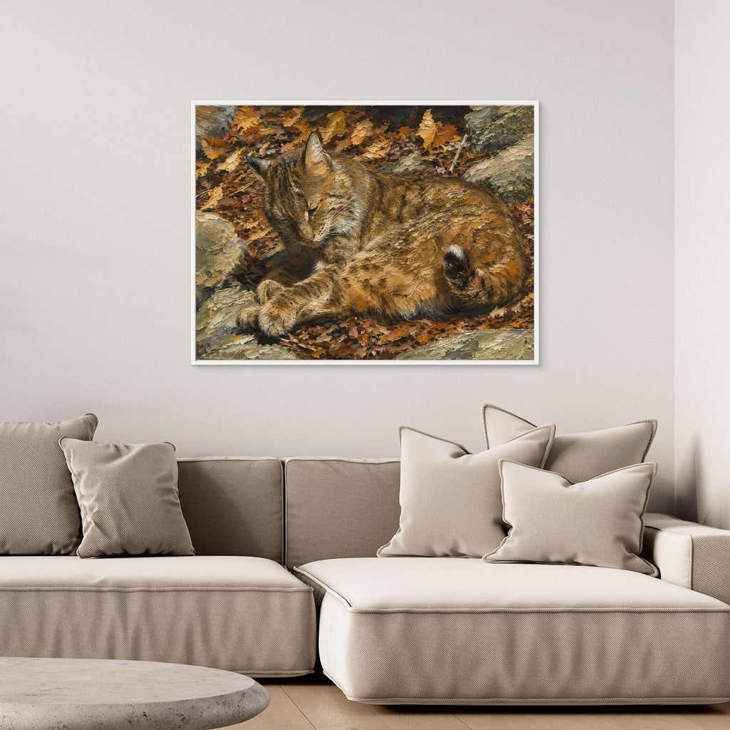 Wildlife | Bobcat