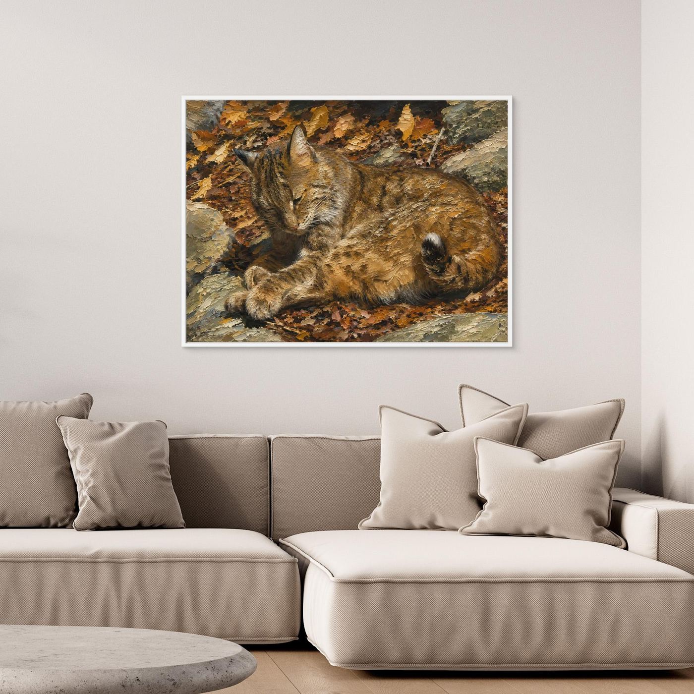 Wildlife | Bobcat