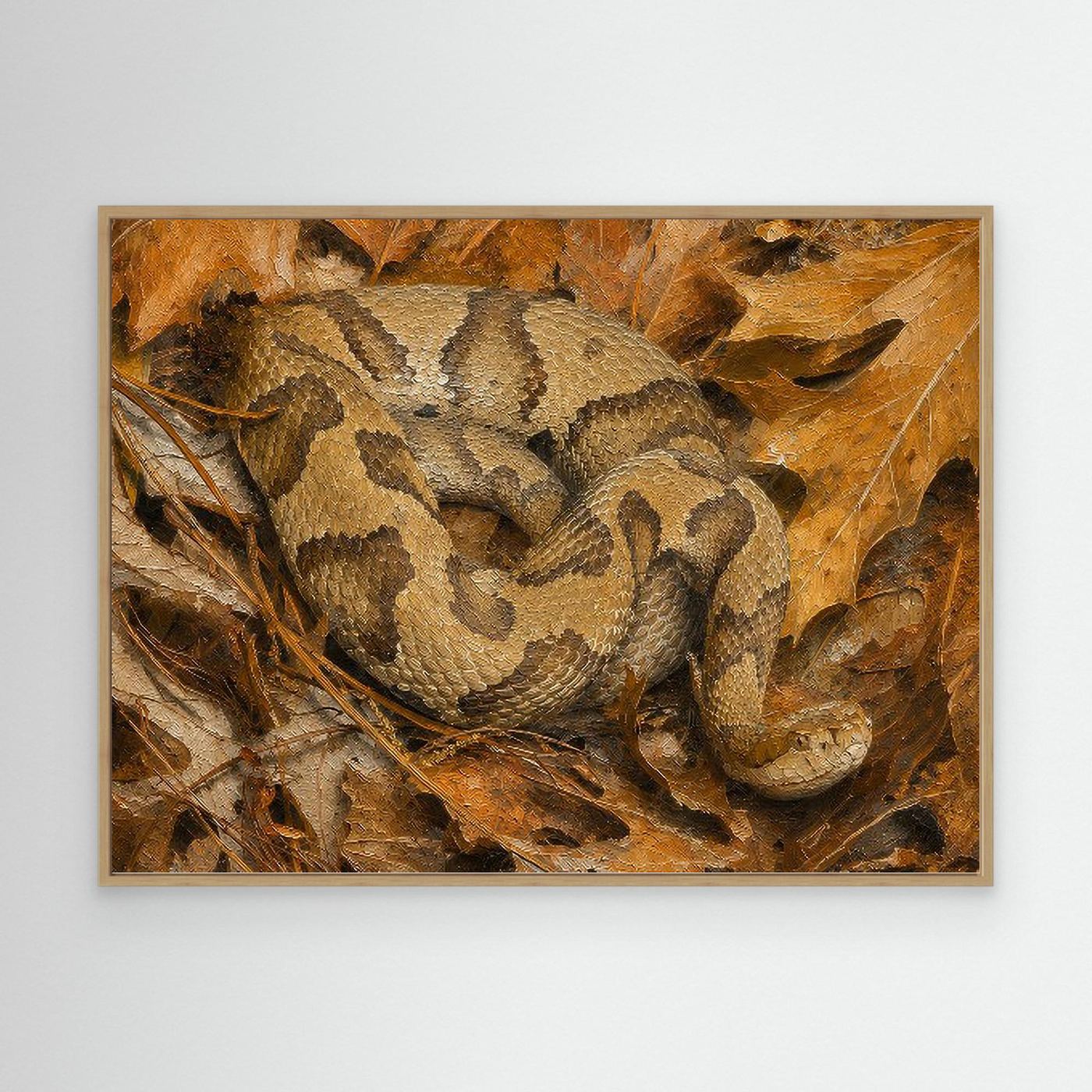 Wildlife | Copperhead