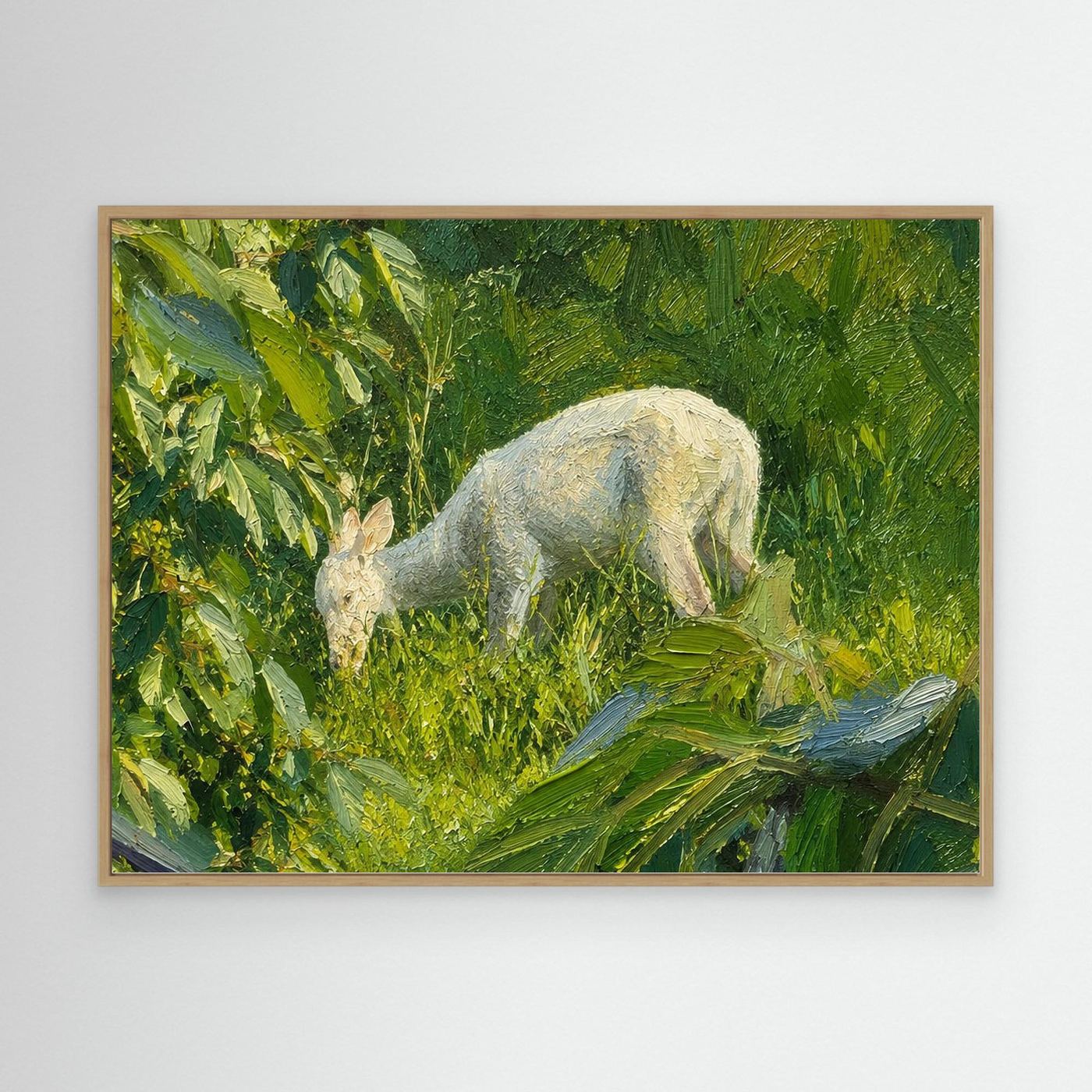 Wildlife | White Deer Fawn - 001