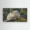 Wildlife | Arctic Fox - 002