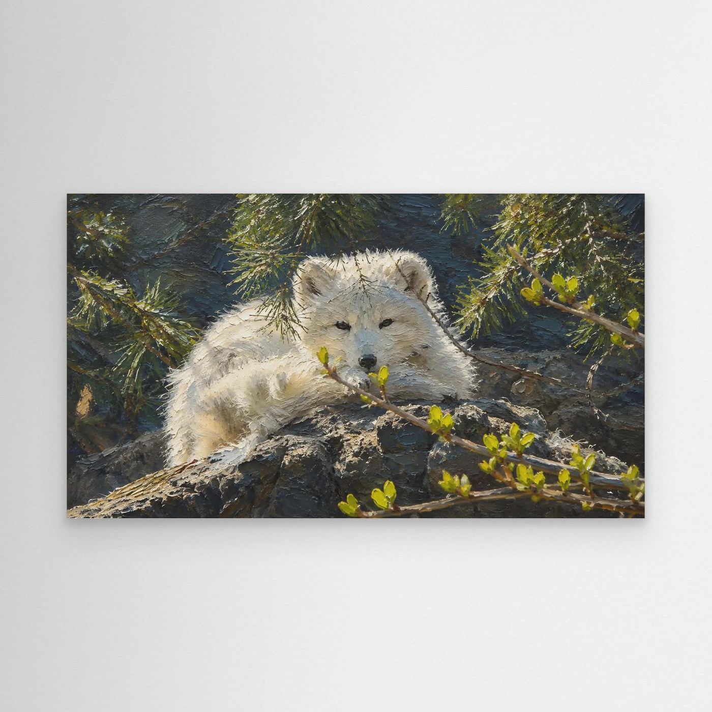 Wildlife | Arctic Fox - 002