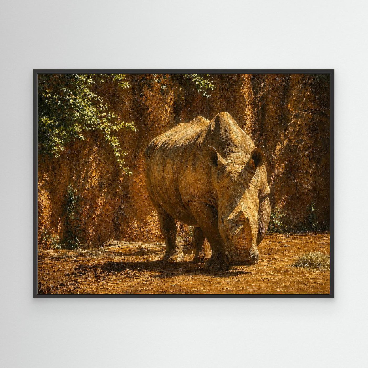 Wildlife | Rhino - 002