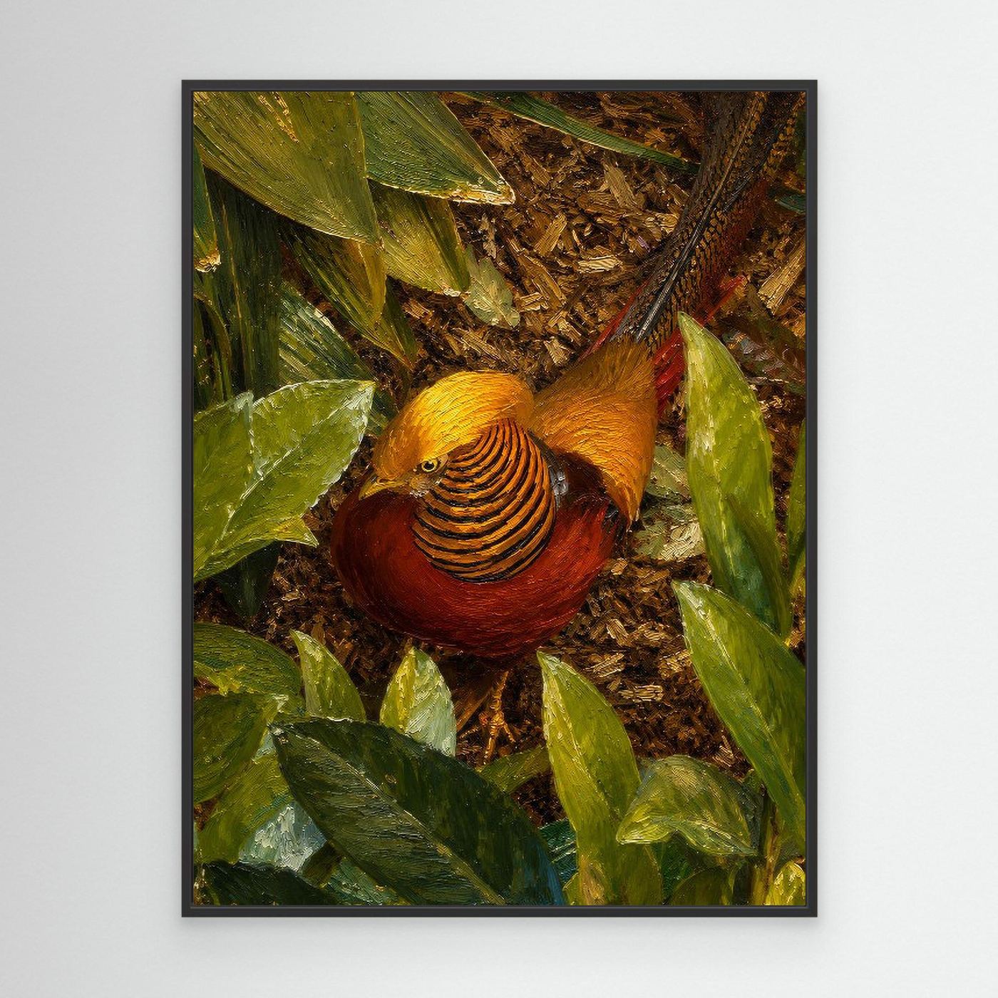 Wildlife | Golden Pheasant