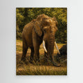 Wildlife | African Elephant