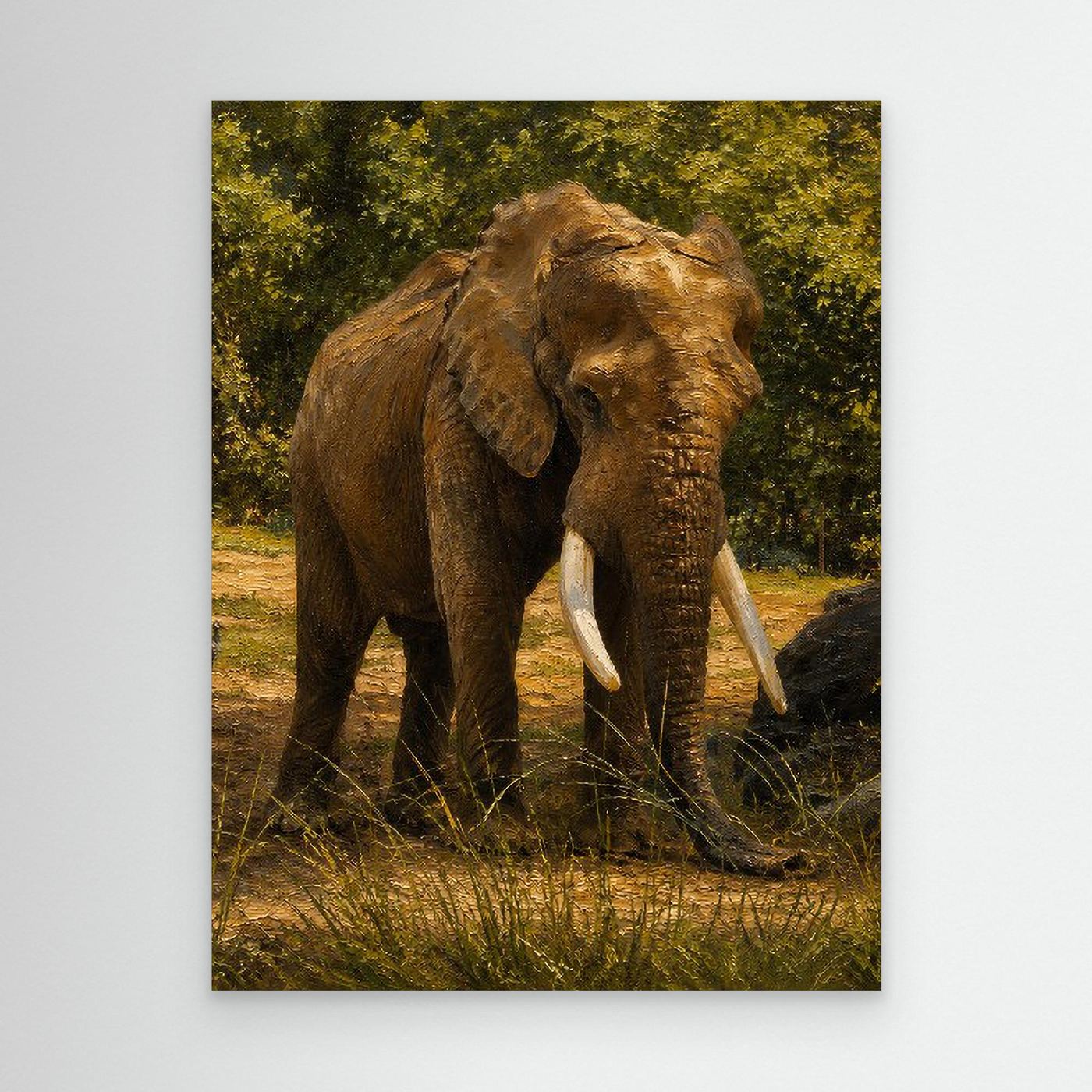 Wildlife | African Elephant