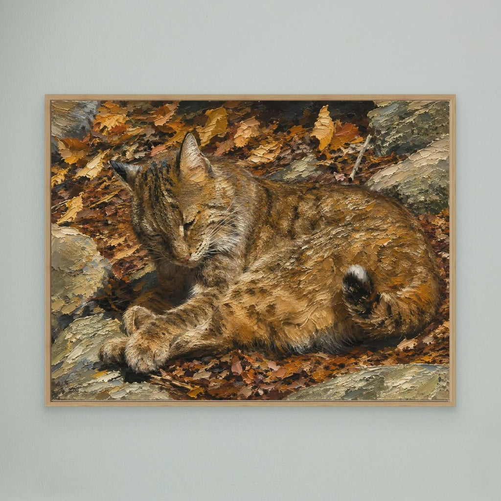 Wildlife | Bobcat