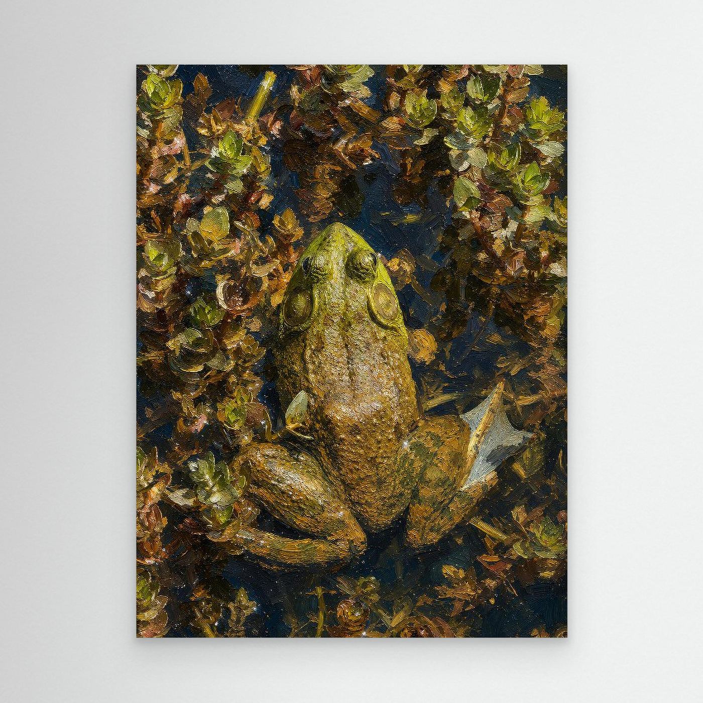 Wildlife | Bullfrog - 001