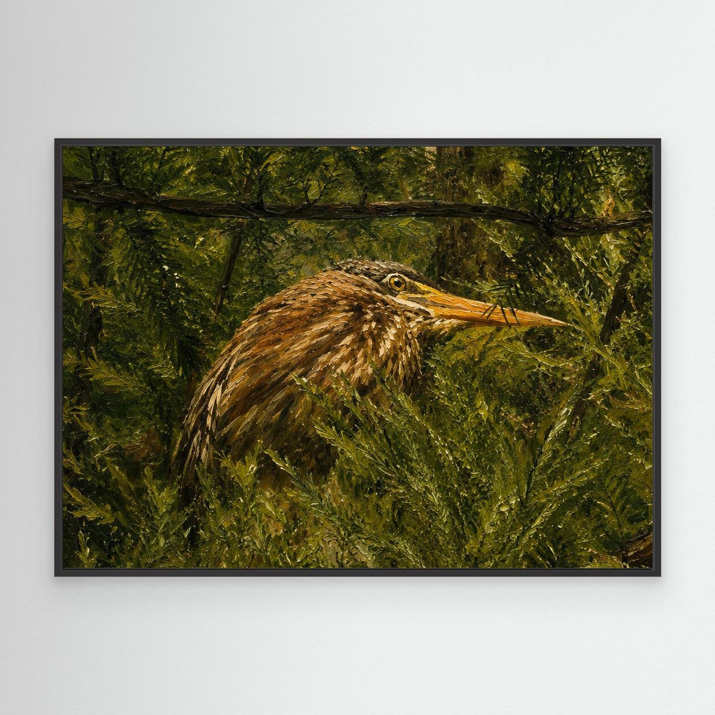 Wildlife | American Bittern