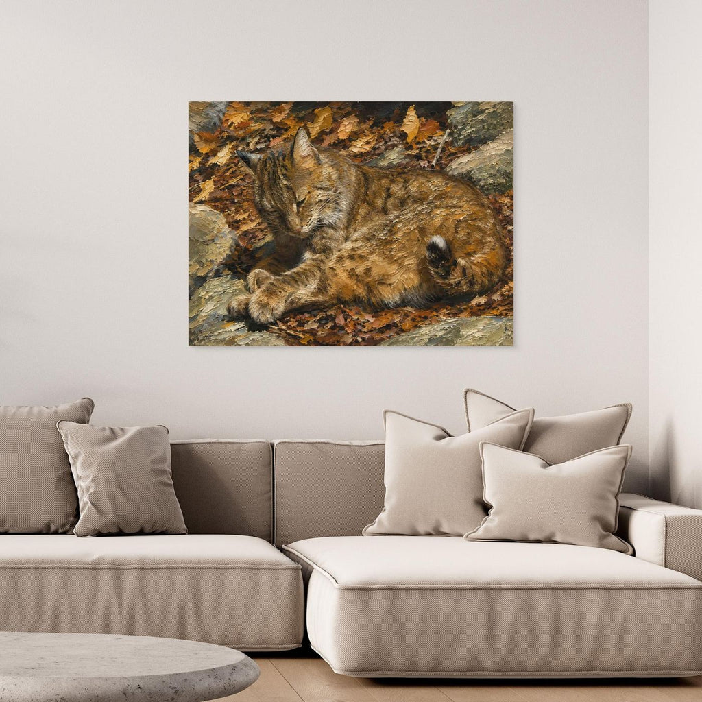 Wildlife | Bobcat