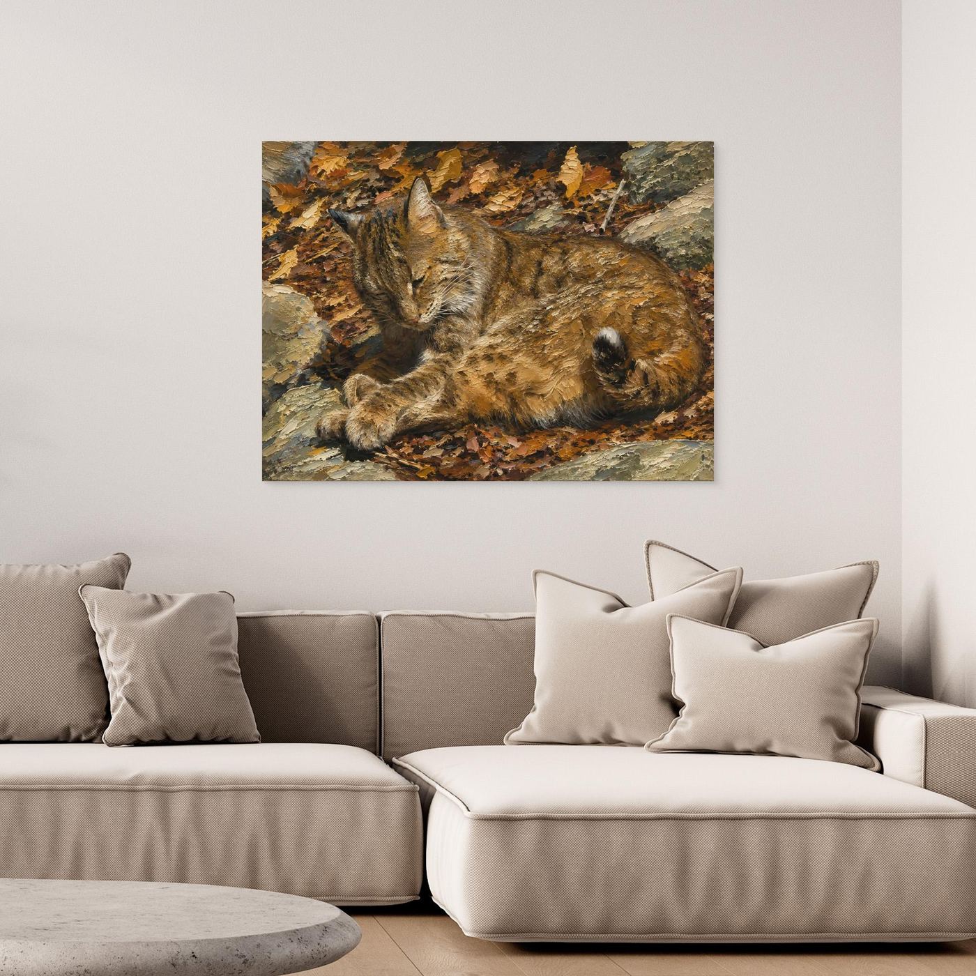 Wildlife | Bobcat