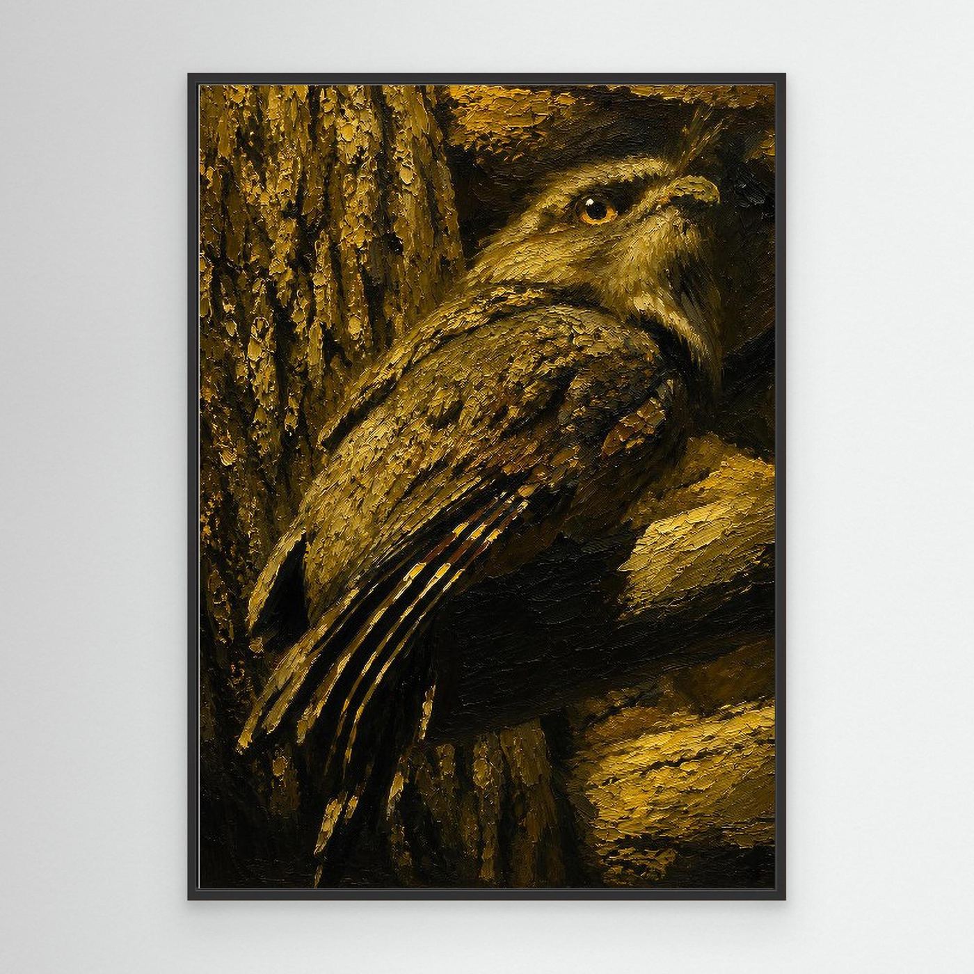 Wildlife | Tawny Frogmouth
