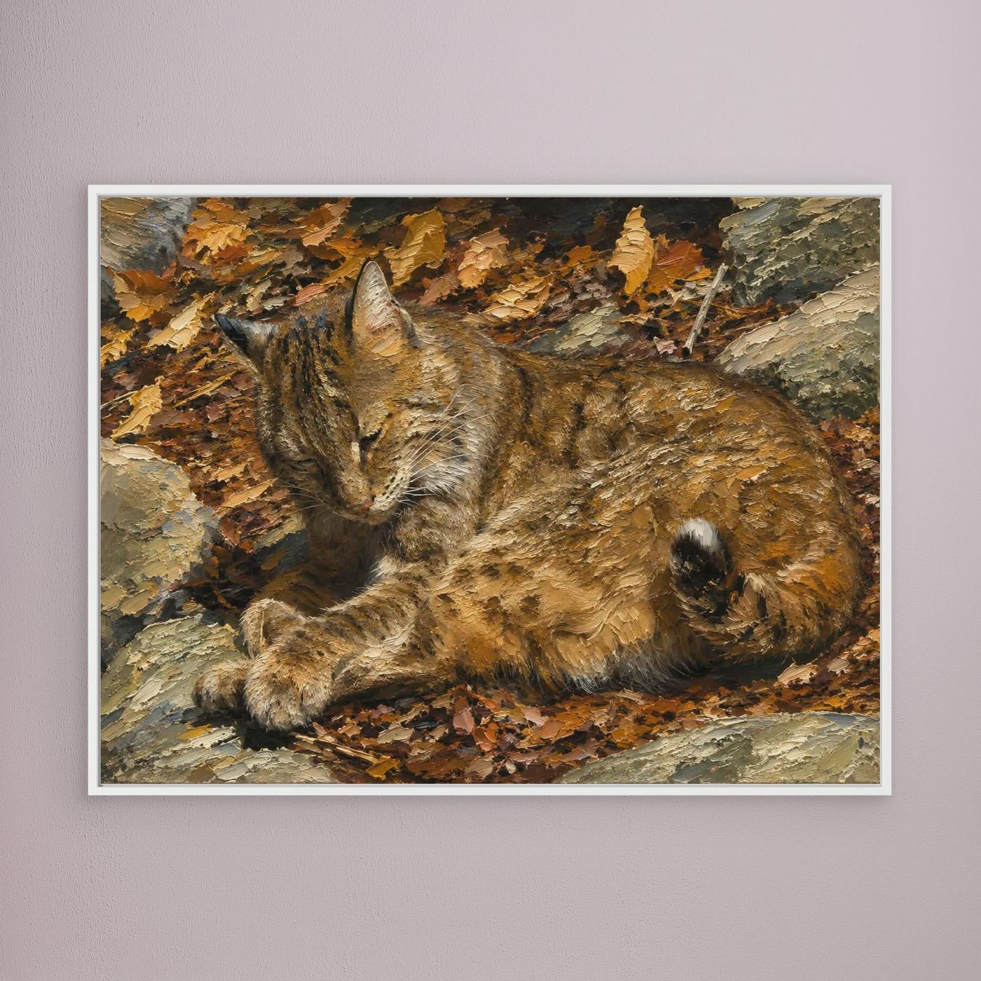 Wildlife | Bobcat