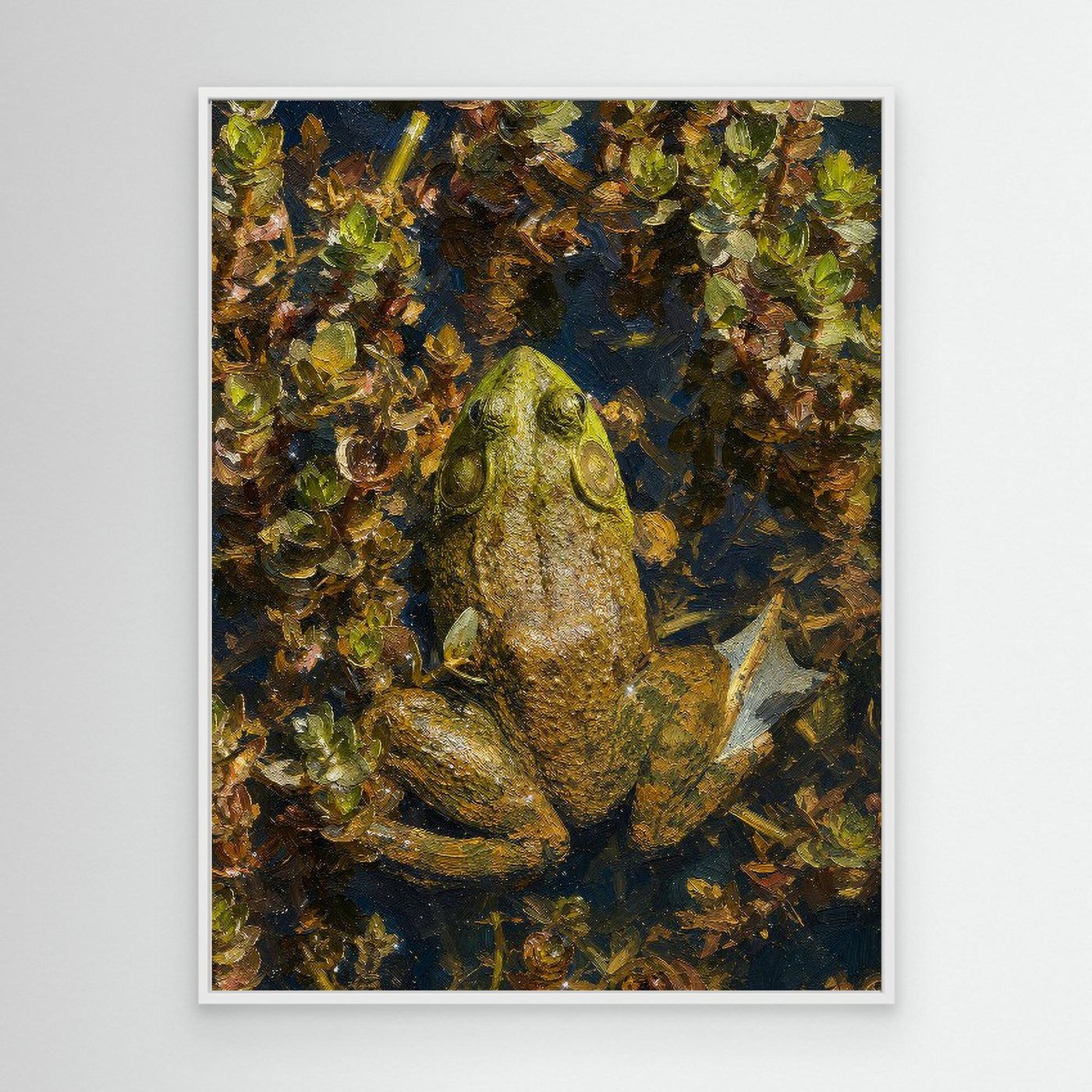 Wildlife | Bullfrog - 001