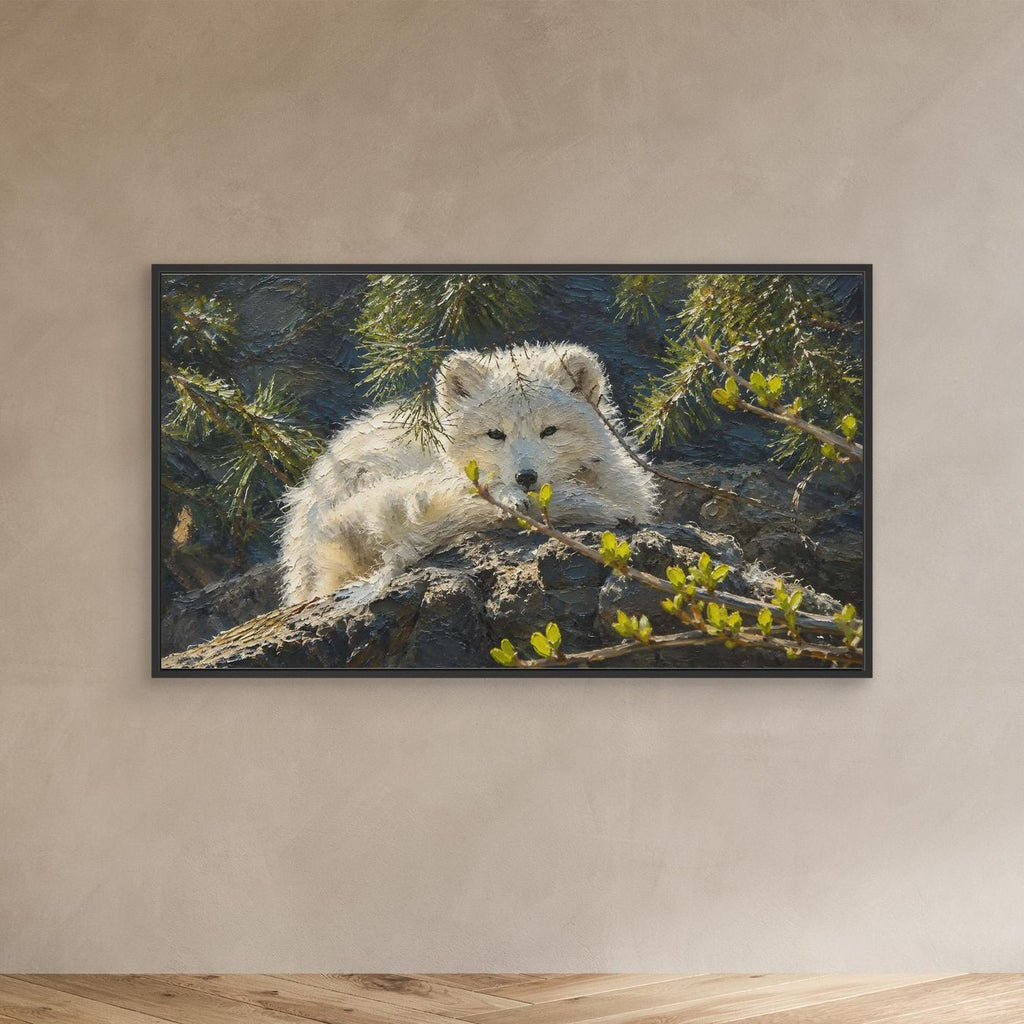 Wildlife | Arctic Fox - 002