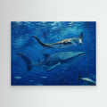 Wildlife | Whale Shark & Manta Ray